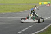 IMG (462)